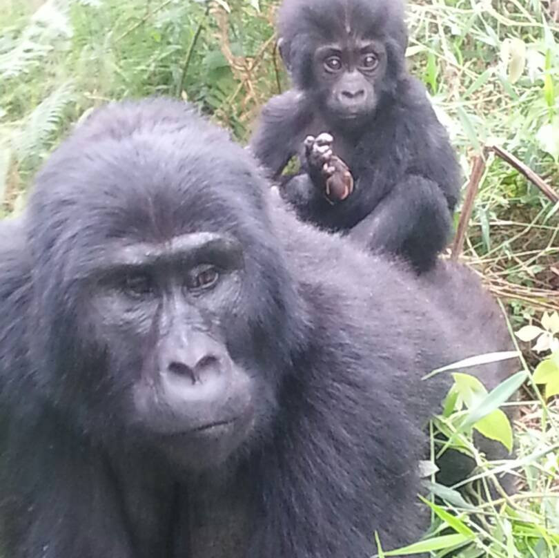 Hidden Gems of Uganda-卡巴莱必去景点