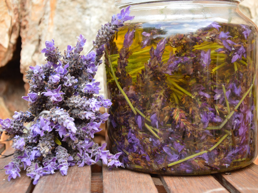 Quincho Massages-卡拉多尔必去景点