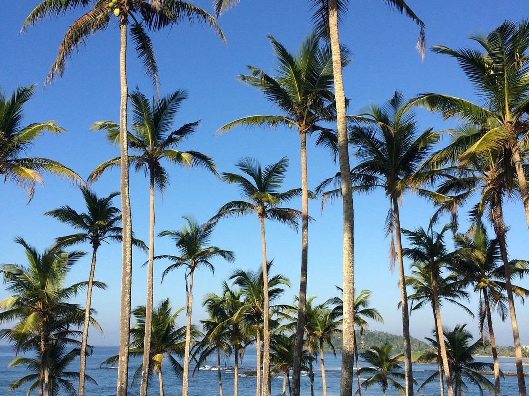 Holiday Island Tours景点图片