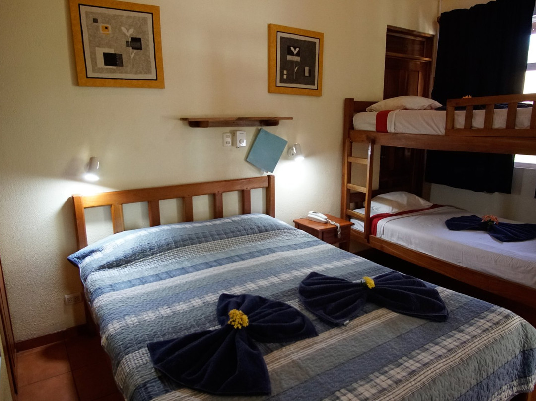 Hotel Isolina Beach主图