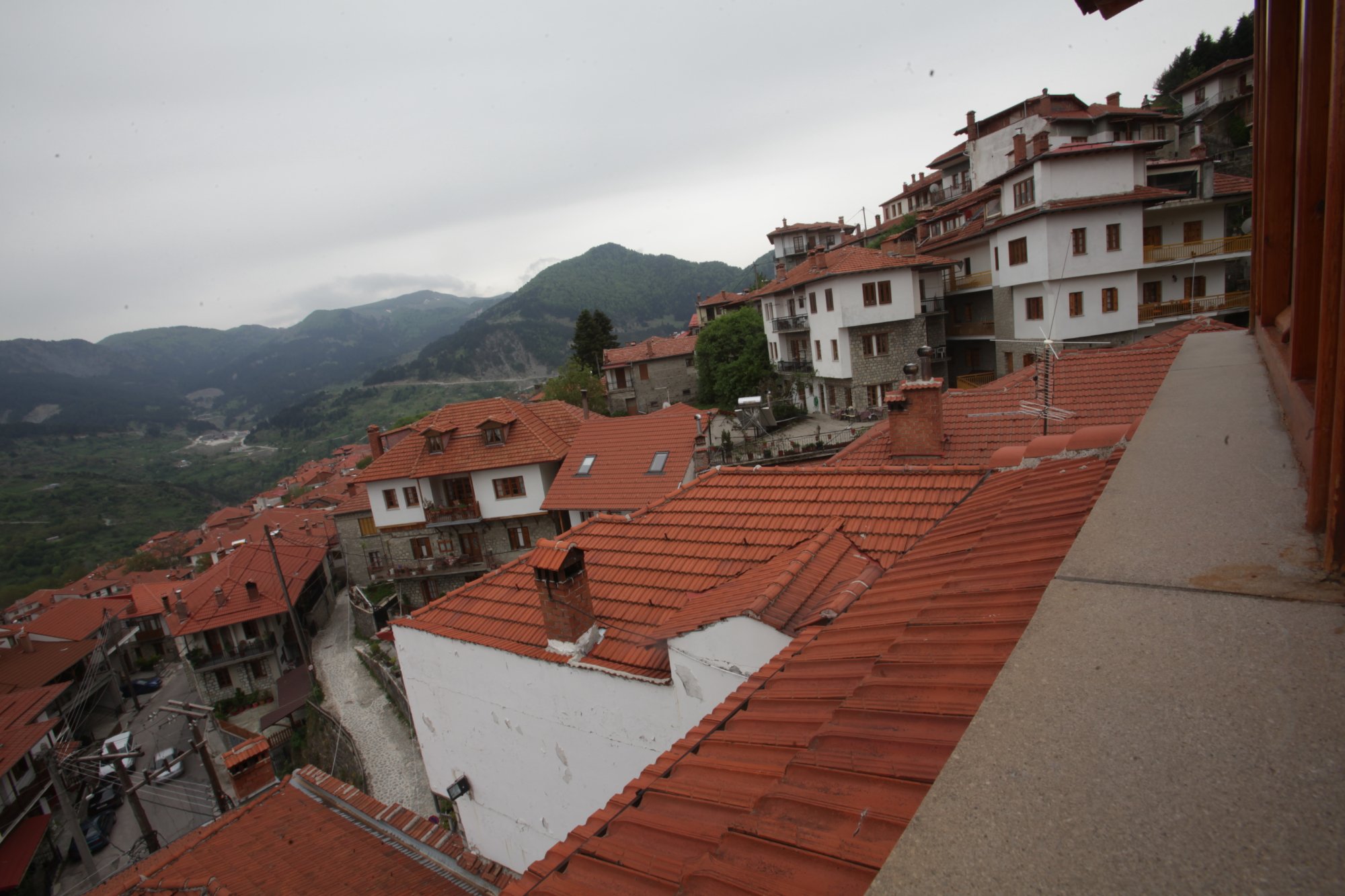 Asteri Metsovo Hotel S.A.-酒店景观