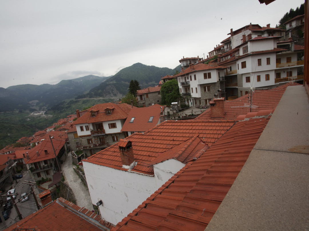 Asteri Metsovo Hotel S.A.主图