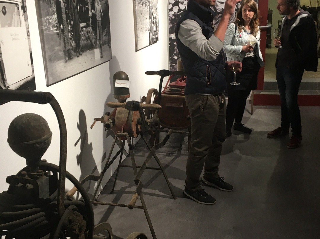 Historical wine cellar Sankt Aldegund-Sankt Aldegund必去景点