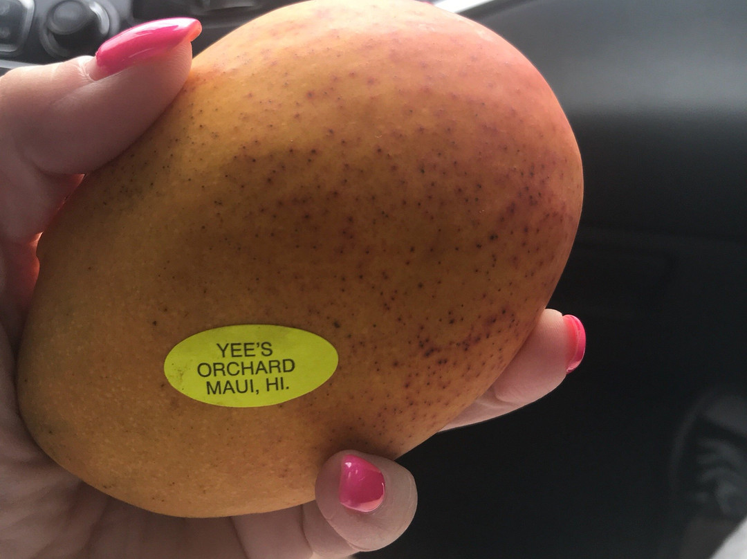 Yee's Orchard & Fruit Stand-基黑必去景点