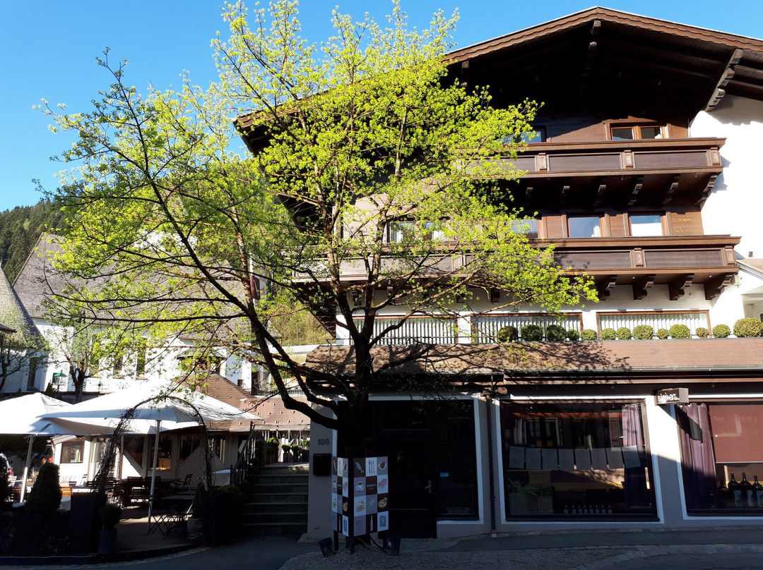 Eben im Pongau酒店住宿-Apparthotel Steiner