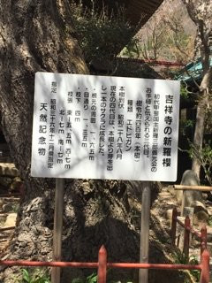 Kichijouji Temple景点图片