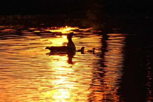 Colombian Highlands Tours & Expeditions-莱瓦镇必去景点