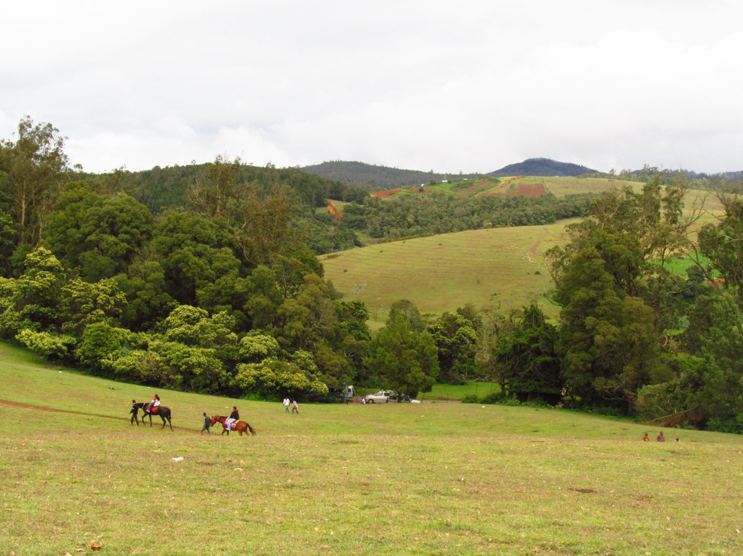 Wenlock Downs 9th Mile Shooting Point景点图片