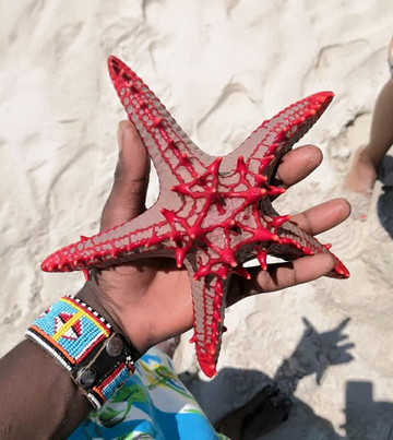 Mervin Safari Tours-蒙巴萨必去景点