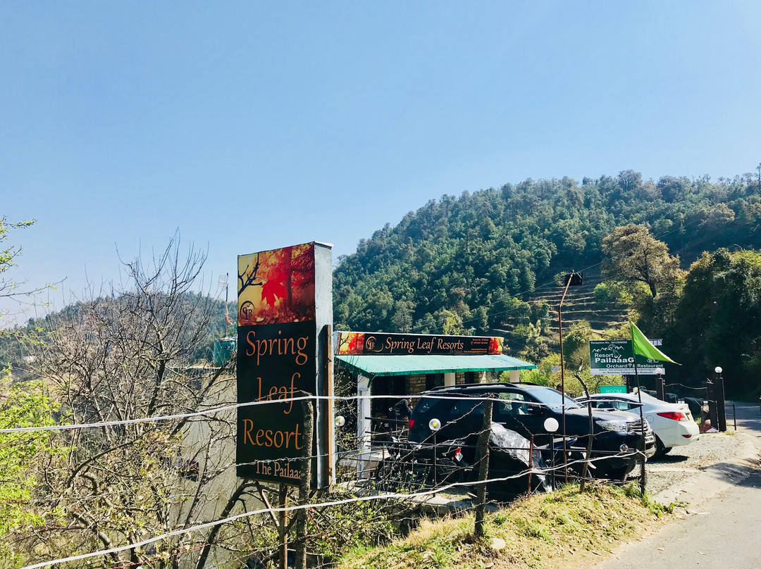 Pailaaag orchard & Restaurant主图