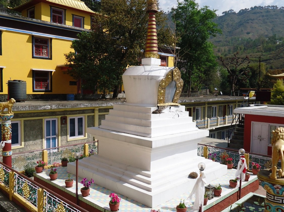 Tashi Jong Buddhist Monastery景点图片