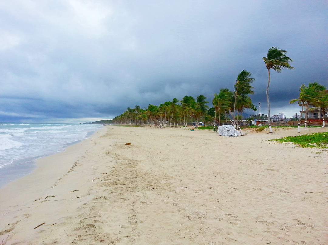 Hotel Golden Paradise主图