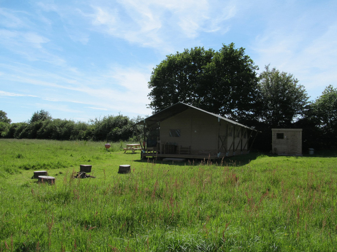Hidden Meadows