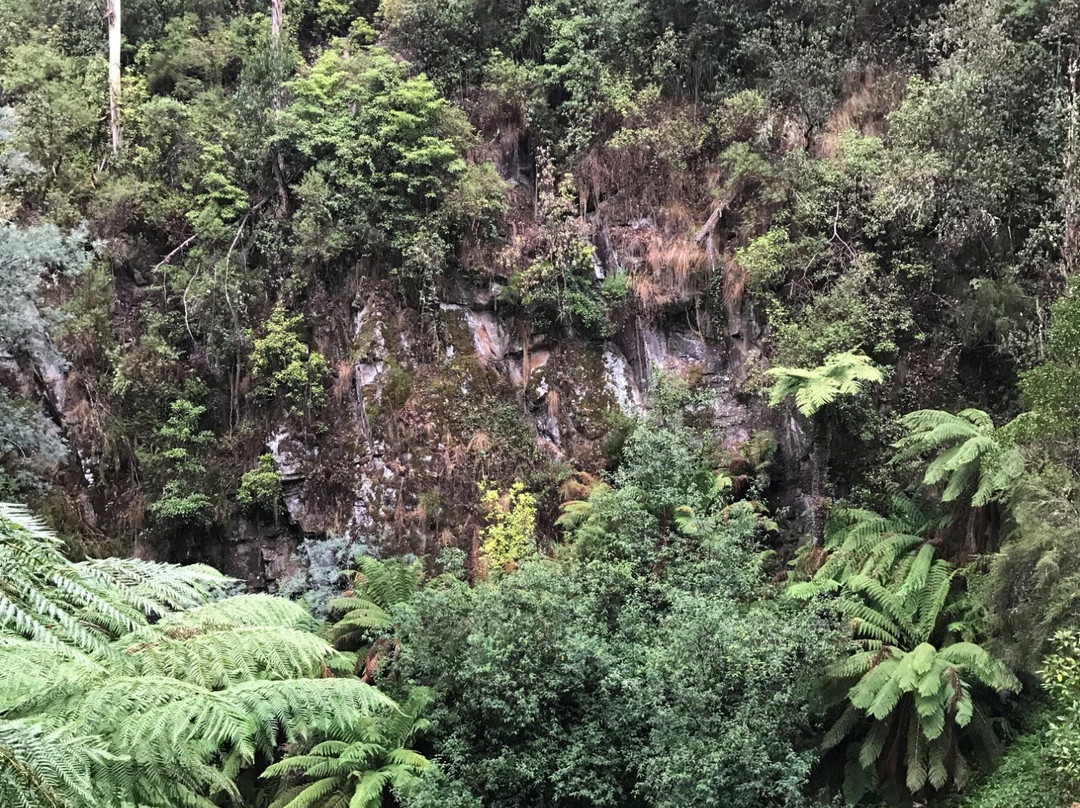 Tarra Falls-Tarra Valley必去景点