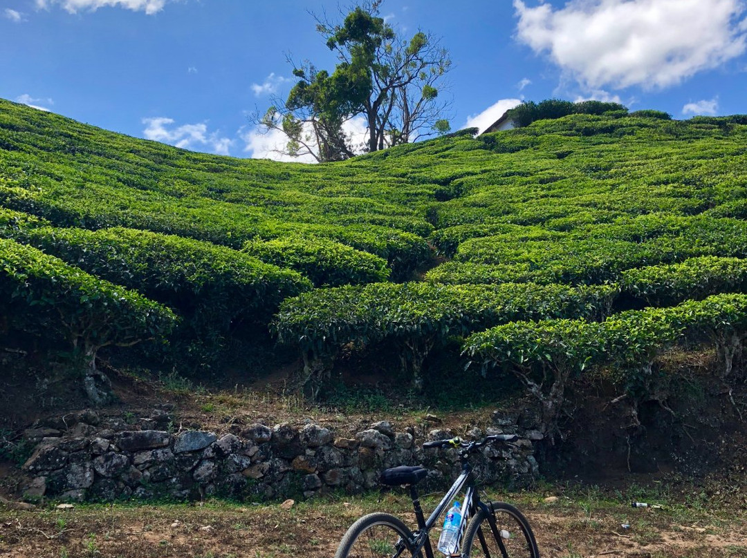 Kerala Bicycle Trips景点图片