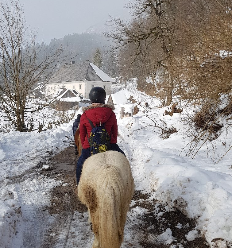 sLOVEnia HORSE RIDING-布莱德必去景点