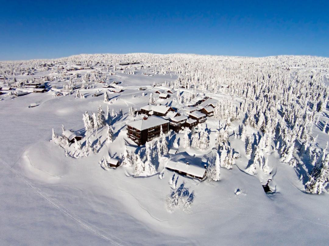 Rustad Hotell & Fjellstue主图