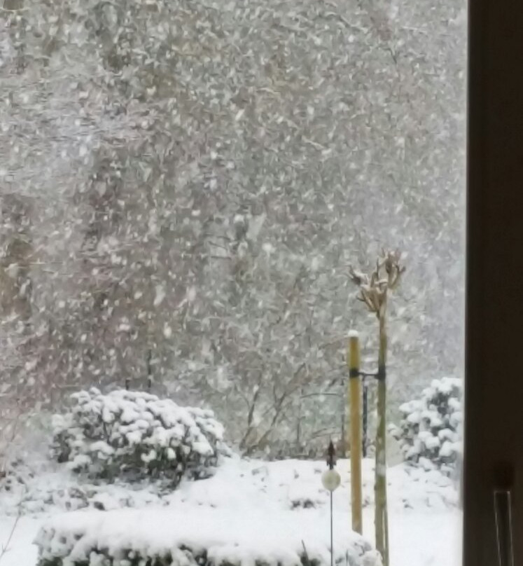 Hagen im Bremischen餐馆和美食-Restaurant Pellka - Dat Kartuffelhus