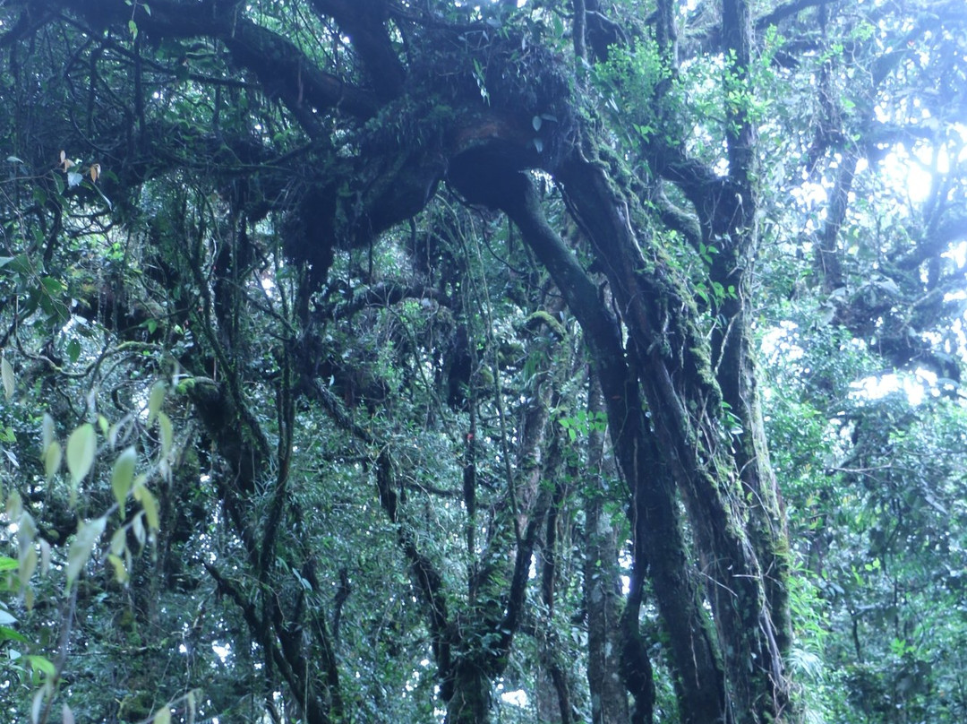 Mount Berembun-丹那拉塔必去景点
