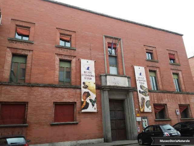 Museo Civico di Storia Naturale景点图片
