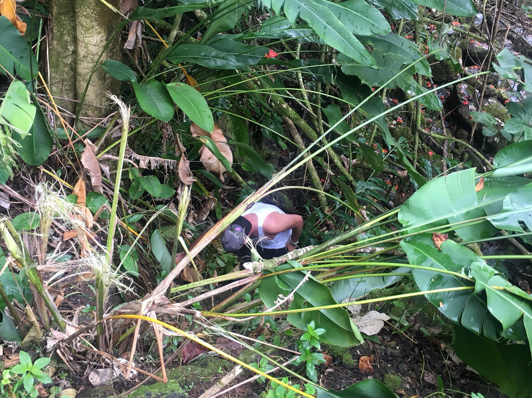 Nanue falls-哈诺姆必去景点