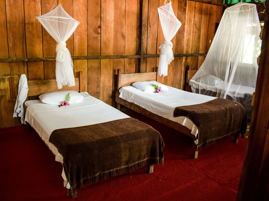 Tapir Hostel Lodge