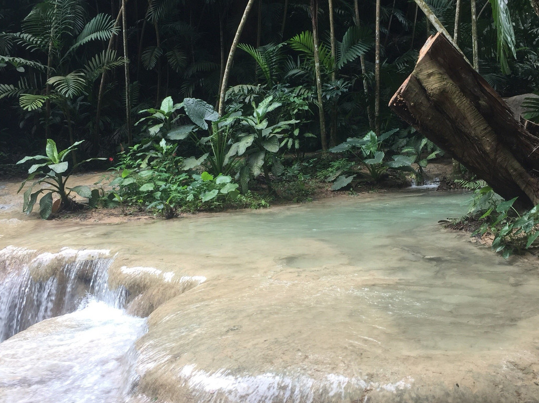 The Enchanted Gardens, Bird Aviary, and Waterfall-奥乔里奥斯必去景点
