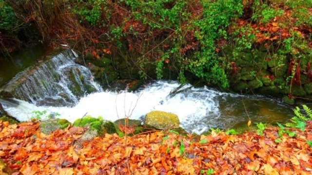 Quinta da Lagarta主图