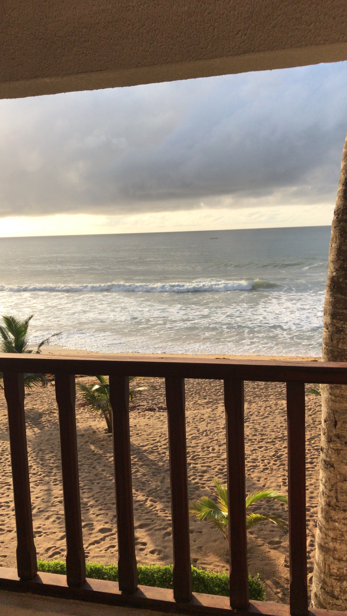 Hotel Palm Rock Beach-酒店景观