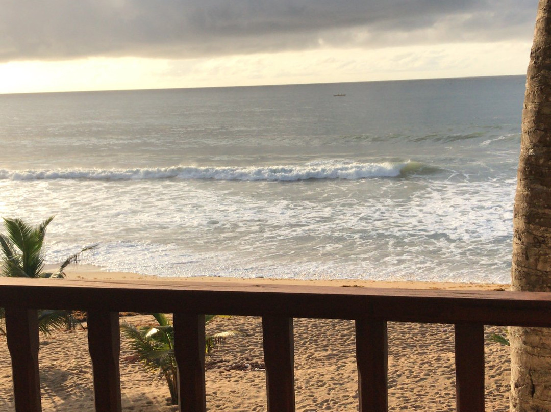 Hotel Palm Rock Beach主图