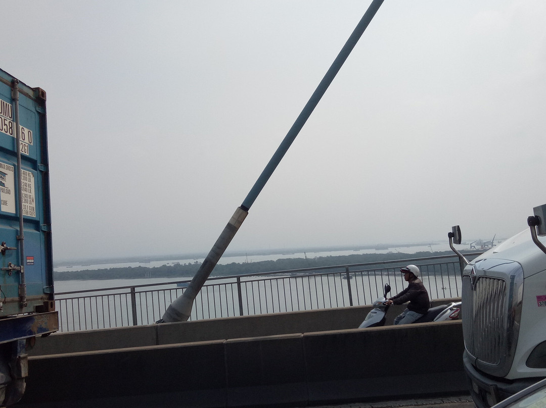 Phú Mỹ Bridge-胡志明市必去景点