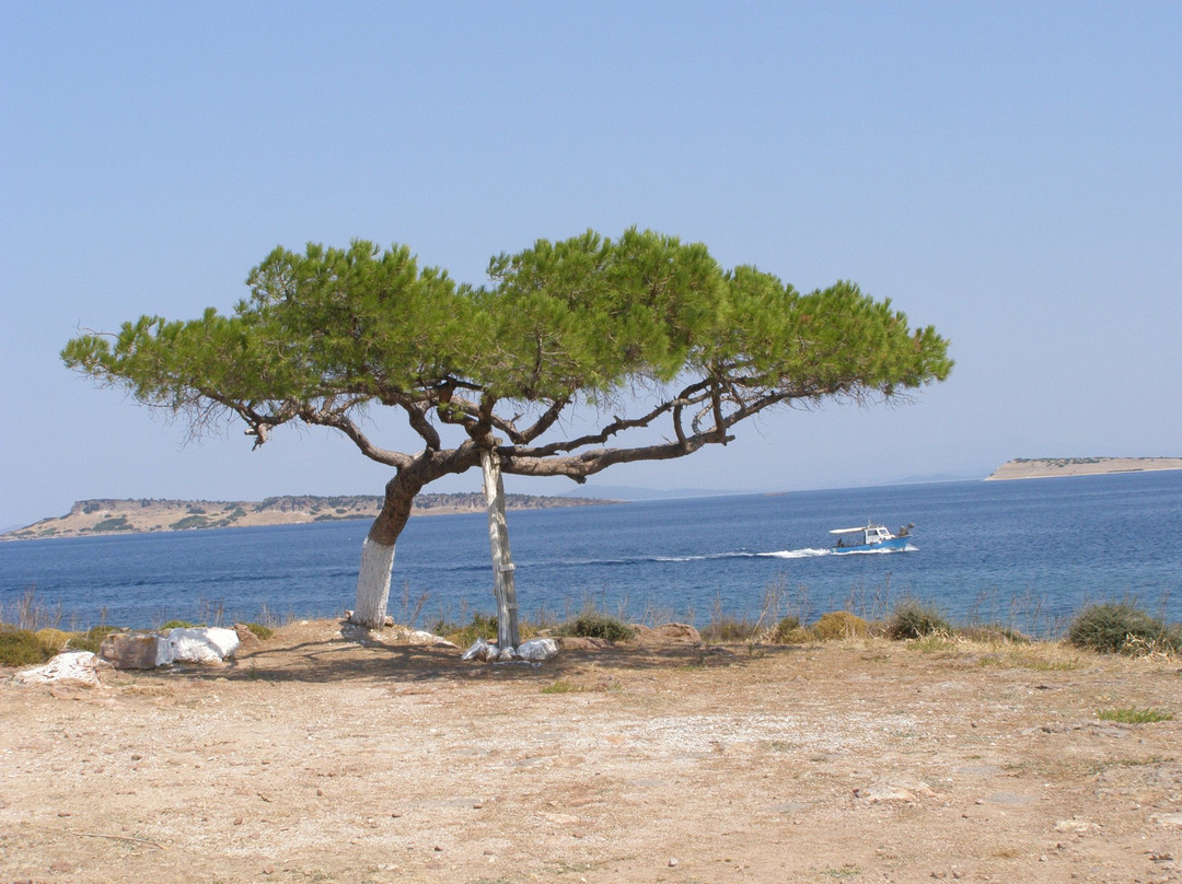 Agios Stefanos Beach景点图片