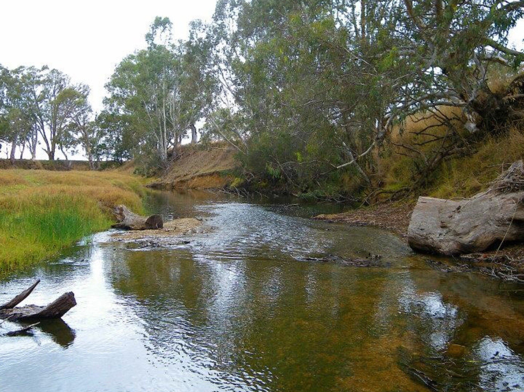 Dartmoor旅游攻略图片