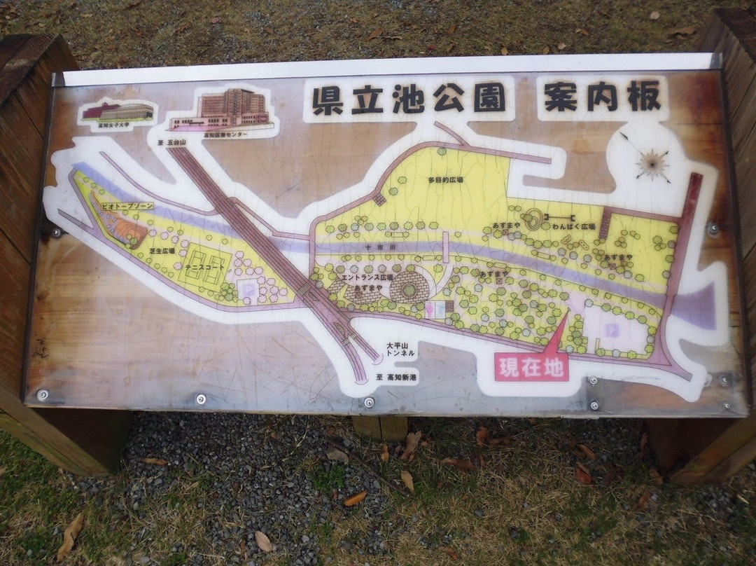 Kochi Ike Park-高知市必去景点