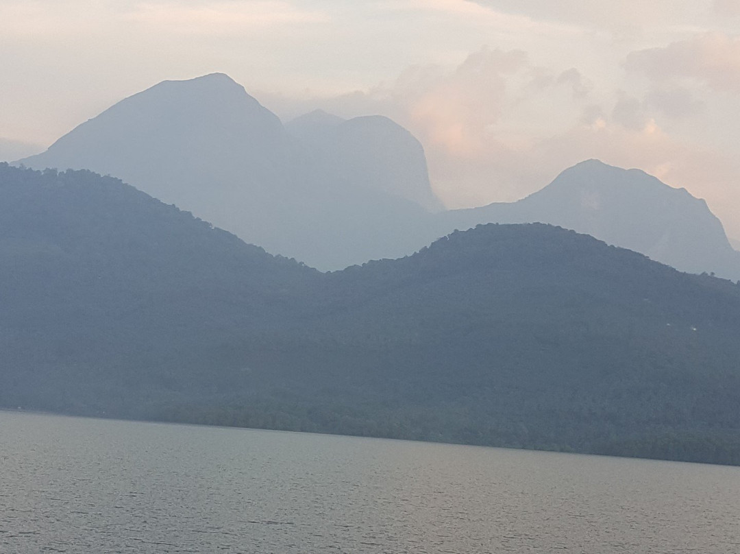 Kanjirapuzha Dam景点图片