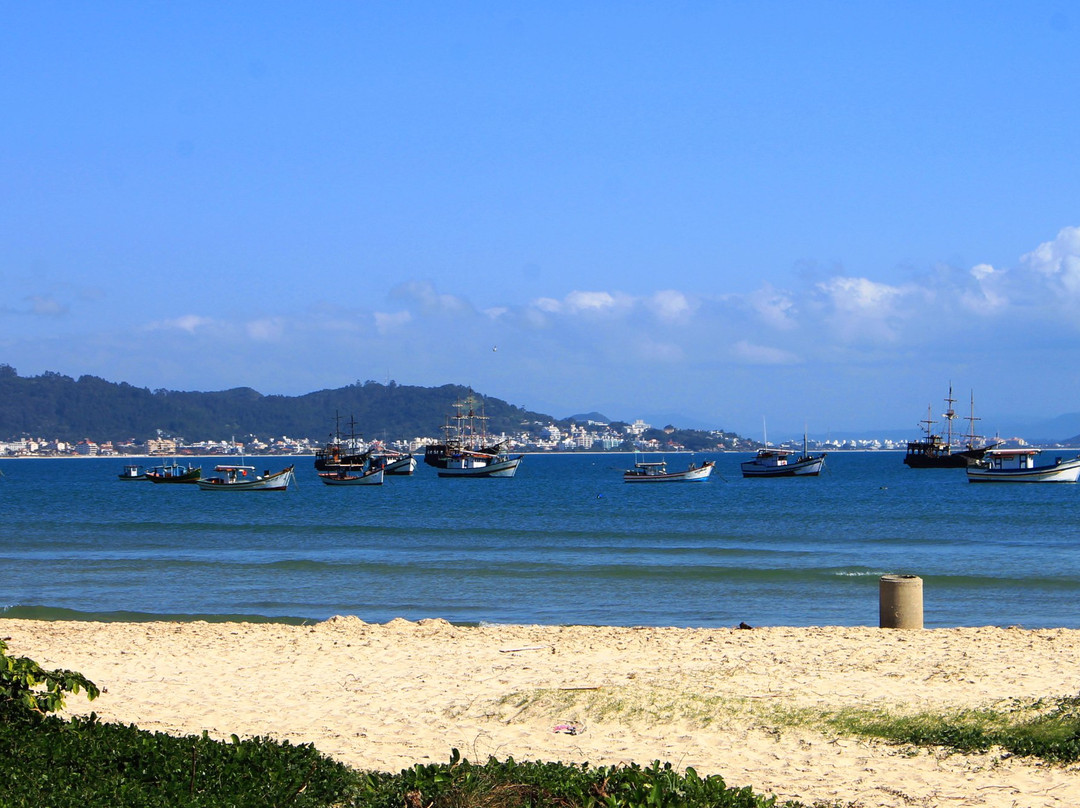 Ponta das Canas Beach景点图片