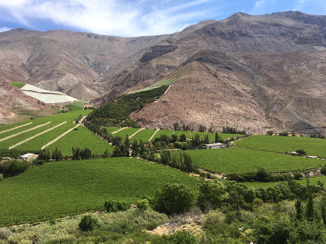 Valle del Elqui景点图片