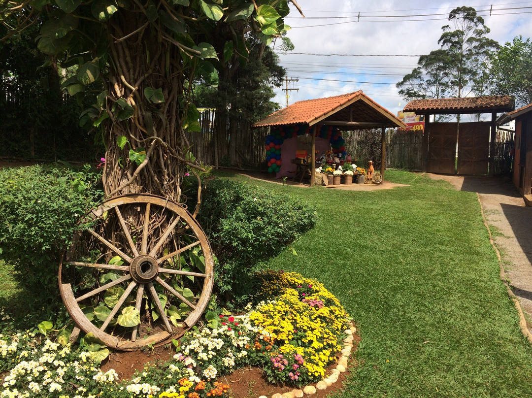 Mini Fazenda Pet Zoo