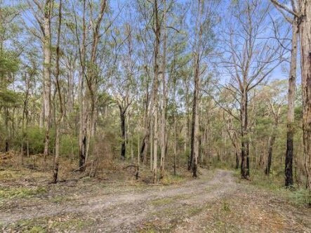 Barongarook Conservation Reserve