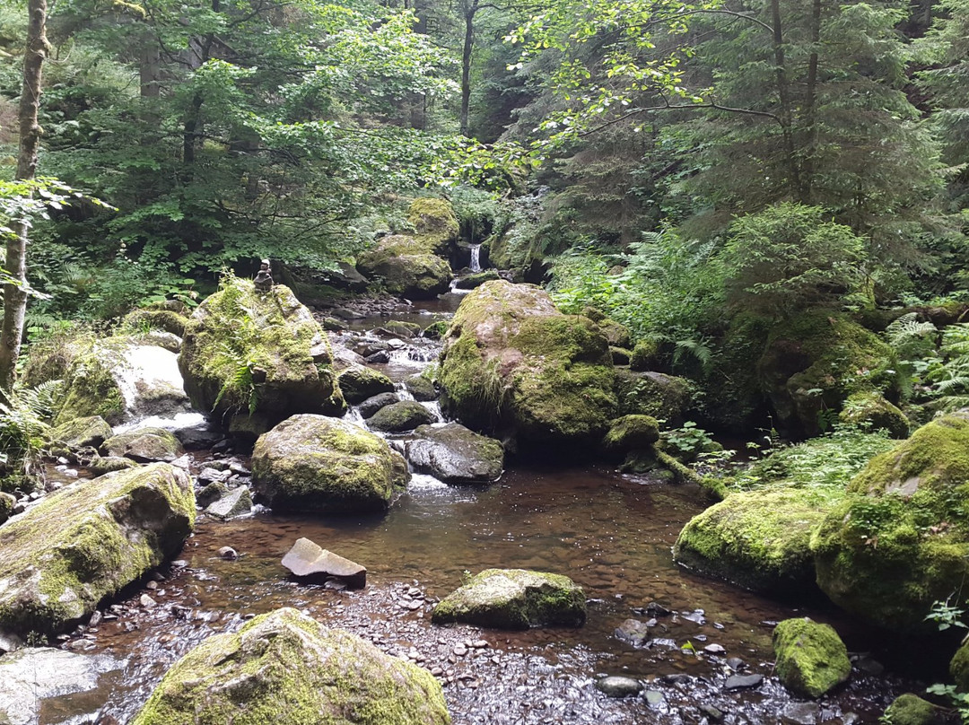 Ravennaschlucht-Breitnau必去景点