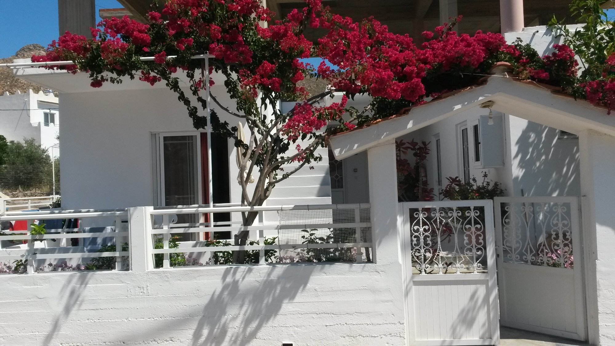 Georgias Rooms-酒店景观