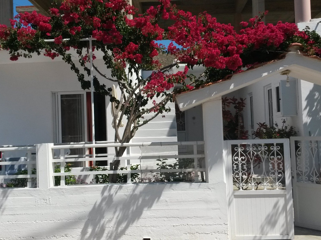 Livadia酒店住宿-Georgias Rooms