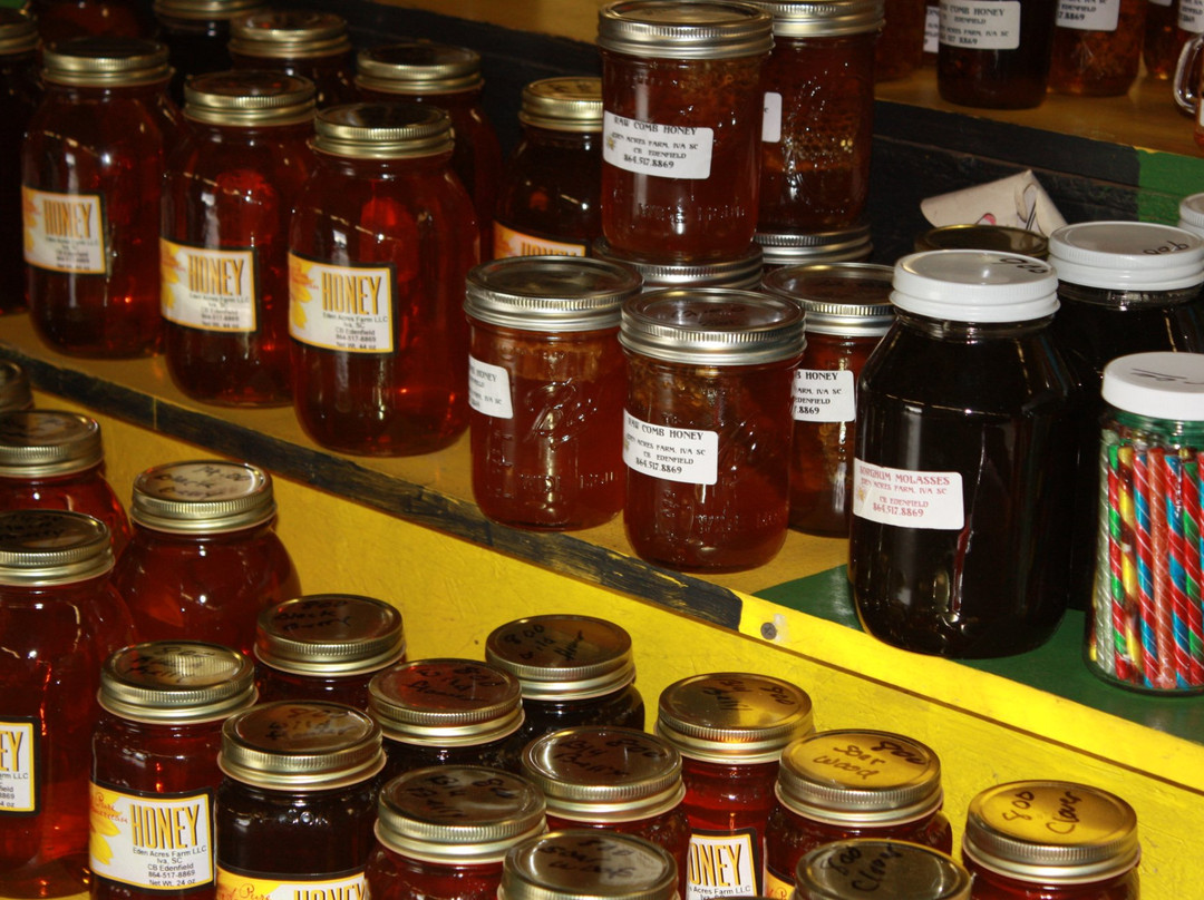 Anderson Jockey Lot-Belton必去景点