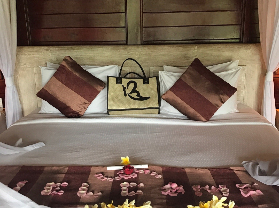 巴龙蝴蝶度假村主图