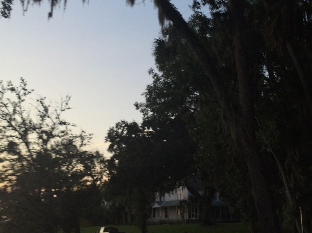 Ormond Scenic Loop & Trail-奥蒙德海滩必去景点