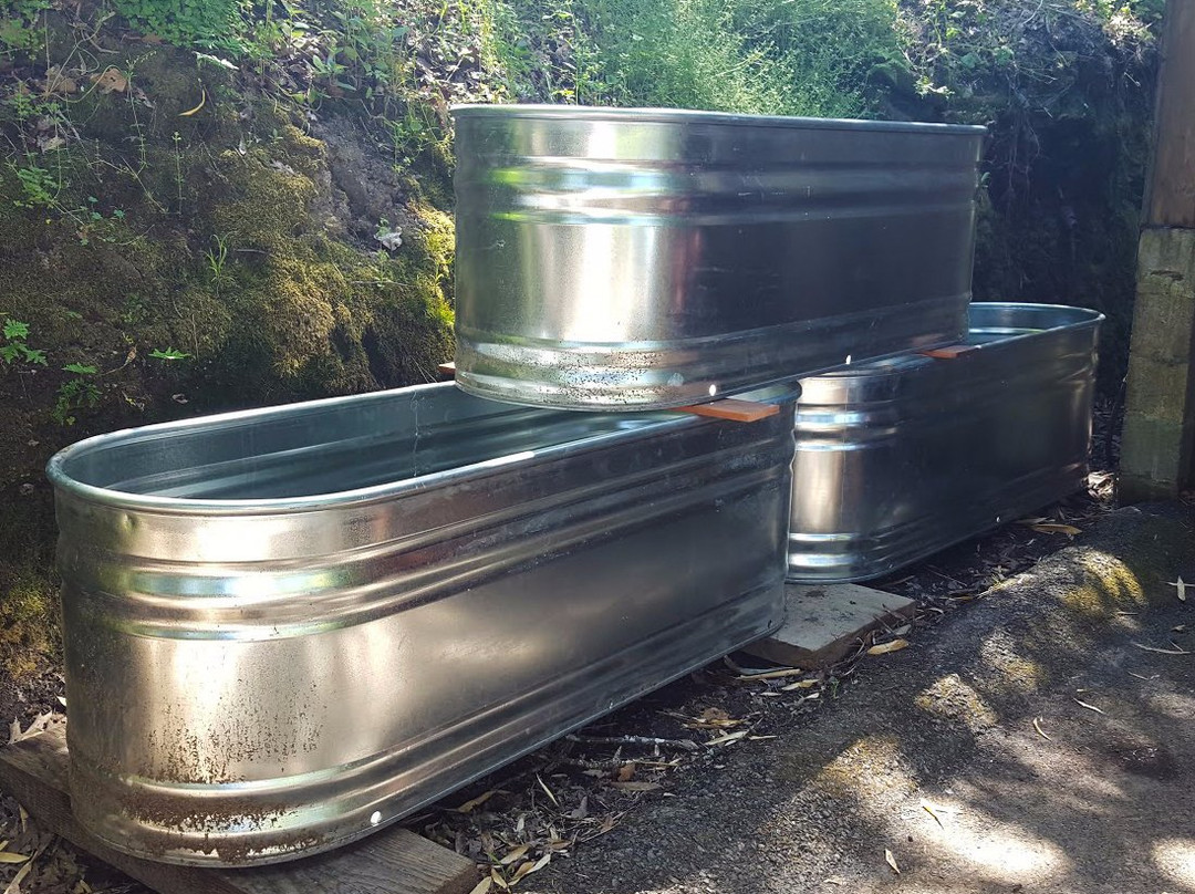 Bamboo Sourcery Nursery & Gardens-Sebastopol必去景点