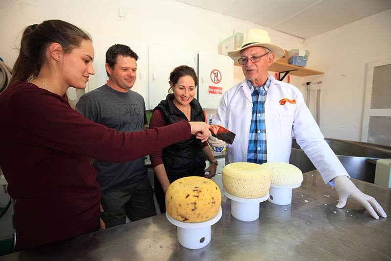 Latana Cheese-奥兹洪必去景点