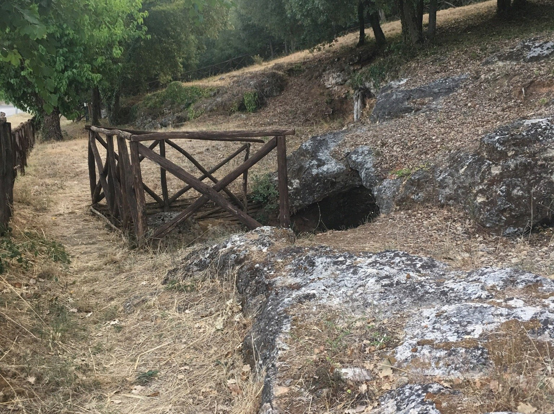 Necropoli Etrusca Di Malignano景点图片