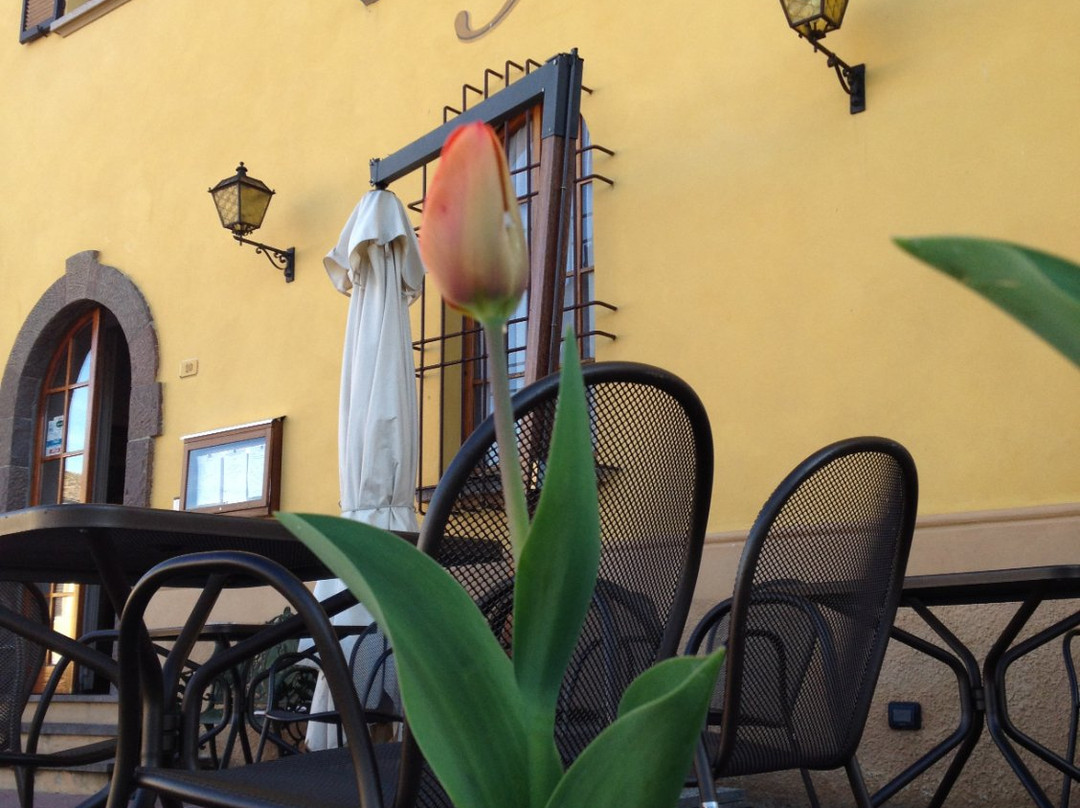 Albergo Ristorante Il Cervo主图