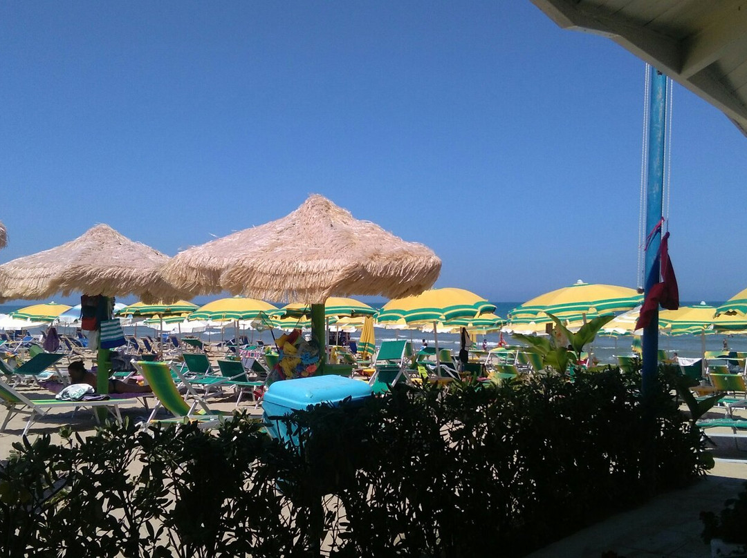 Lido Marlin